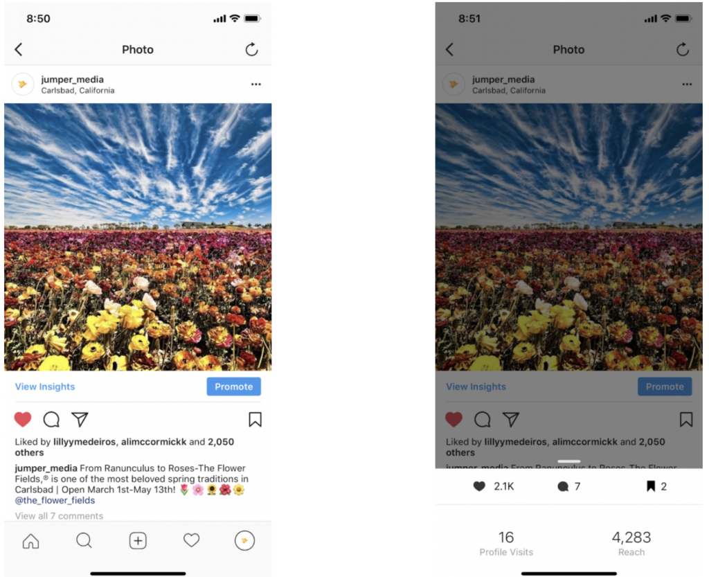 yaletown graphic design